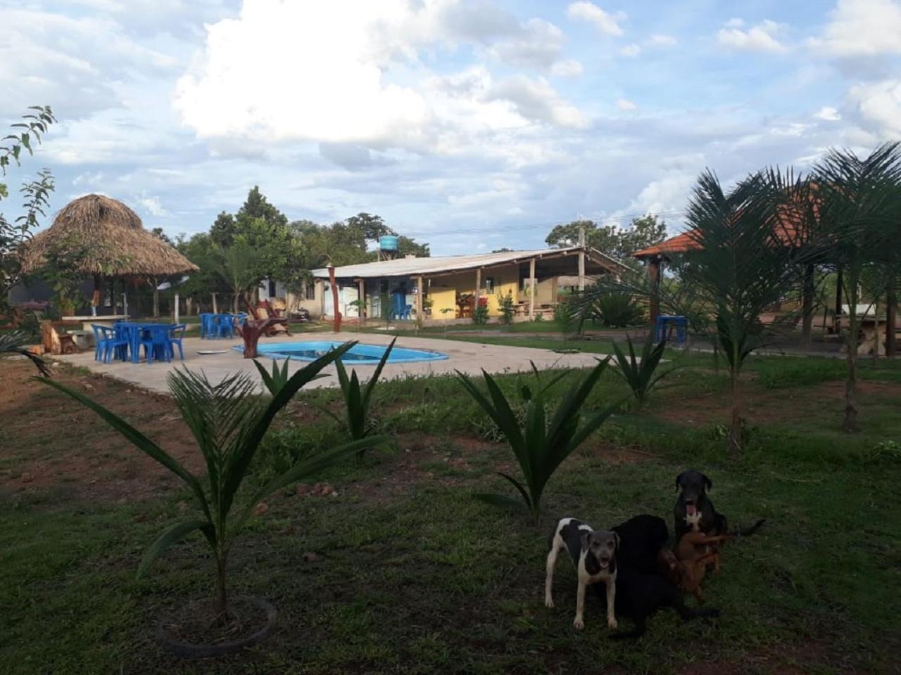 Pantanal Ocelotnatur Camping Em Nobres Hotel Porcas Exterior photo
